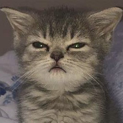 The Day The Party Died (Instrumental)