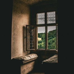 أنتَ لا تفهم الأمر على حقيقته..