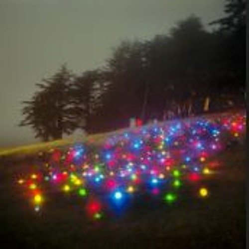 mother earth (wings)