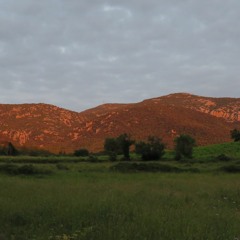 Dawn Chorus Easter Sunday 2020