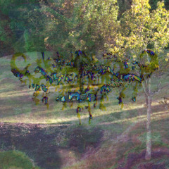 Second  Forest __ /\\ FrenchKiss ! /\\