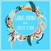 #131 Diveakssh Schae : Gabriel Ananda Presents Soulful Techno DJ mix artwork - Electronic music tracklist cover image