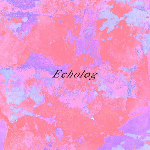 Echolog - Modular