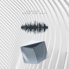 Project 1 - Drum and Bass 2022 Vol 1