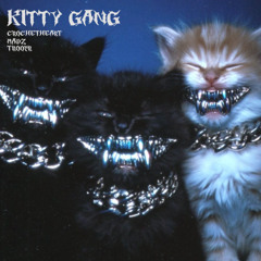 kitty gang w/ madz, CROCHETHEART (tiresss)