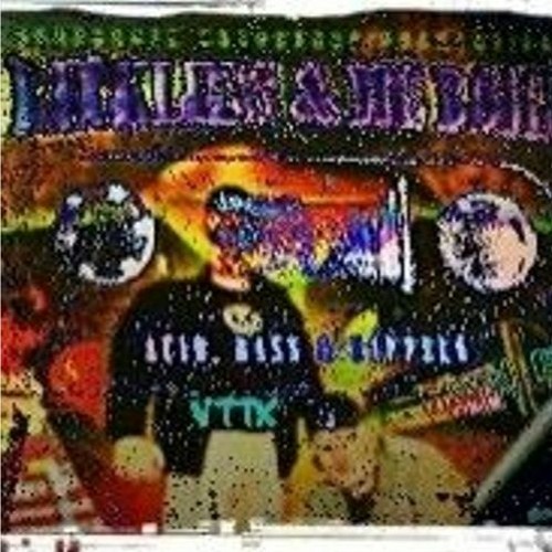 Dj-reckless & Mc-bomber, "Wir Raven Weiter" (VTTx RmX)