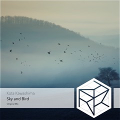 Kota Kawashima - Sky and Bird (Original Mix)