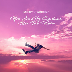 You Are The Sunshine After The Rain (Radio Mix)