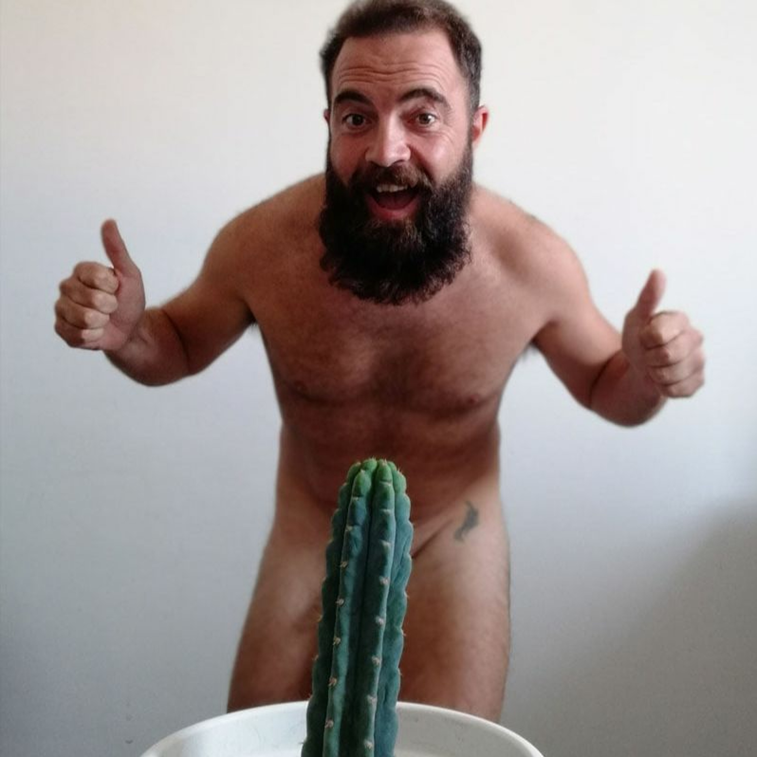 Noches de Cactus