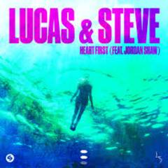 Lucas And Steve - Heart First (Dantrix Remix)