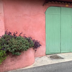 15 mins of Gentle Yoga