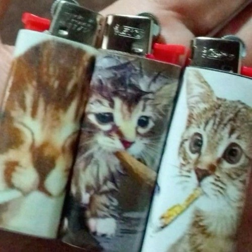 рэйчел #клк #кфн #15