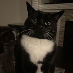 jaydes - tylenol pluggnb remix prod 2aleb