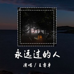 王睿卓 - 永远过的人 [我不心疼我 曾爱的那么勇敢 愚蠢 痛快]【動態歌詞/pīn yīn gē cí】