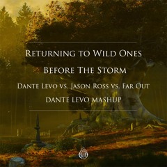 Returning to Wild Ones Before The Storm - Dante Levo vs. Jason Ross vs. Far Out (Dante Levo Mashup)