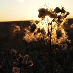 Inspiración (Live Session)