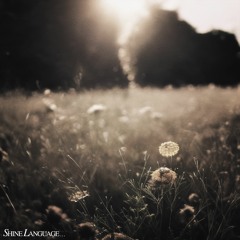 Shine Language