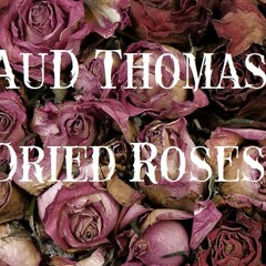 Dried Roses ~ AuD Thomas