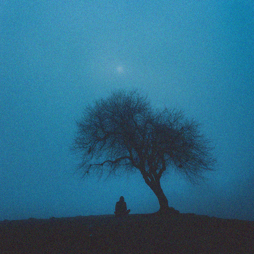 ambit. - day I woke up