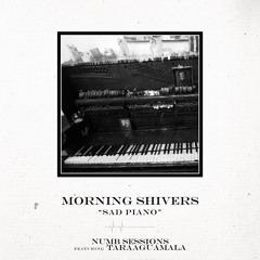 Sad Piano (ft. Taraaguamala and Numb)