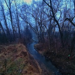 Сергій Заболотний — Чарівна долина