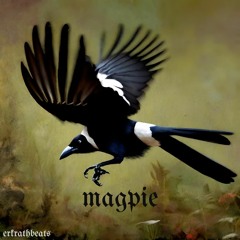 Magpie Gmin (163bpm) (prod.by erkrathbeats)