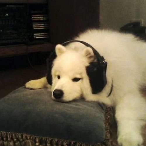 winter2023/2024 clips 🥱😼🫶👁️🌸❄️