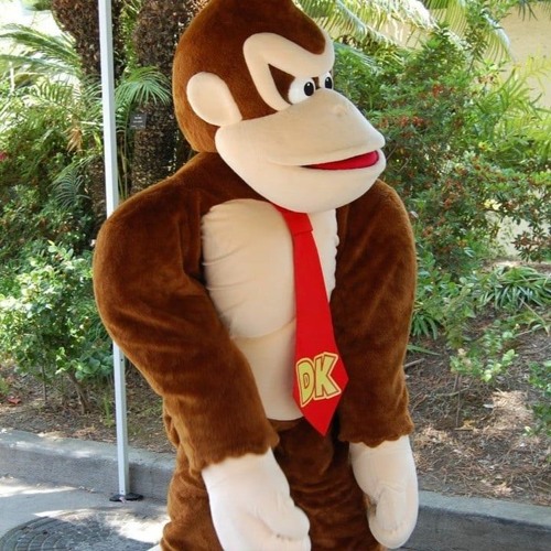 Donkey Kong Wakka Drums 14