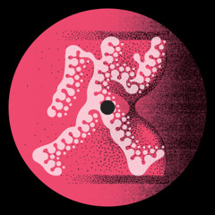 PREMIERE: EOIN DJ - FAUX BADDY [9FINITY]