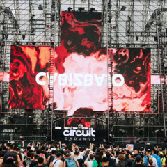 EDC 2025 DJ Set