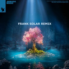 Miss Monique, AVIRA, Luna - Subterranean (Frank Solar Remix)
