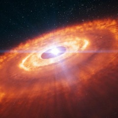 Stellar