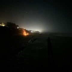 Book Of Love - Magnetic Fields Cover