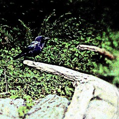 07 04 2024 Live Techno Jam