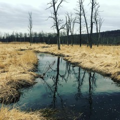 As Wind, As Water