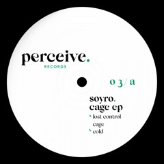 Premiere : Soyro - Lost Control (PERCEIVE03)