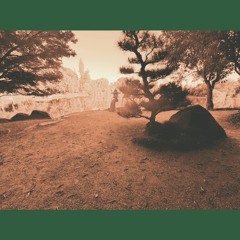 Pushups For The Mind