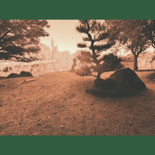 Pushups For The Mind