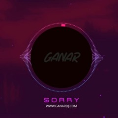 Ganar - Sorry