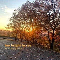 too bright to see (Live Performance)