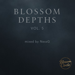 Blossom Depths Vol. 5 – Ambient / Deep Electronica DJ Set by NessG