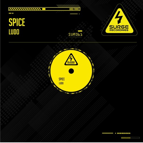 SUR061 Ludo - Spice (Preview) OUT NOW