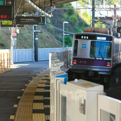 RE YOUKAI SUZUKAKEDAI