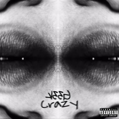 Geek Crazy(Ft. Onlygrunt)