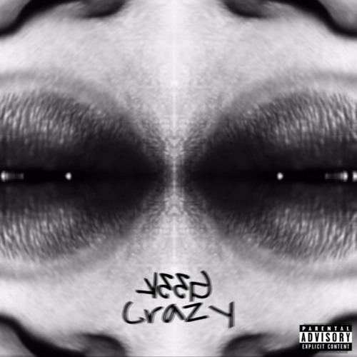 Geek Crazy(Ft. Onlygrunt)
