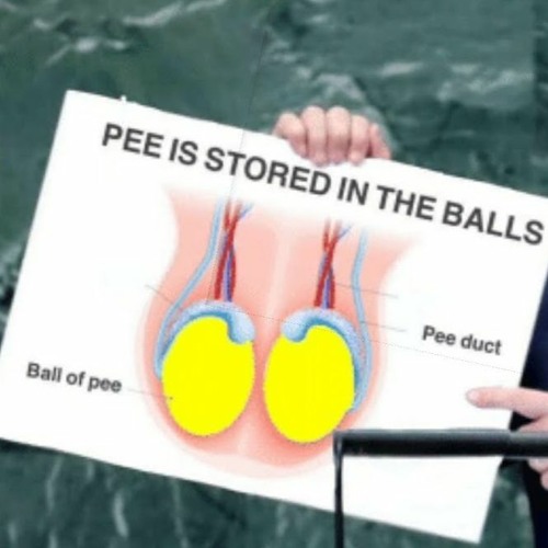 Stream Pee Is Stored In The Balls by *EatingMyCheezits* Listen online