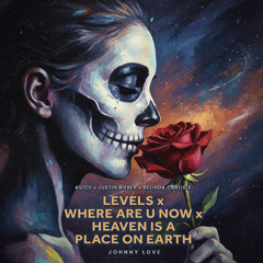 Avicii Levels x Heaven Is a Place on Earth (ft. Bieber): Euphoria Dance Mashup Mix