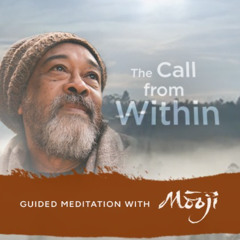 The Call From Within ~ Guided Meditation with Mooji