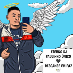 HOMENAGEM DJ PAULINHO ÚNICO - MC VUK VUK E NAUAN (DJ PAULINHO NICO)