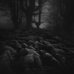 Back to your roots - ReRouted